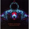 HIROSHI HASEGAWA "Ascension No.999" cd